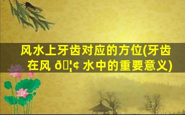 风水上牙齿对应的方位(牙齿在风 🦢 水中的重要意义)